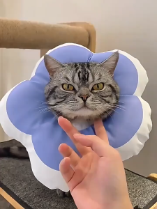 MeowMart Pet Elizabeth Collar Cat Recovery Neck Colar Soft Waterproof Sunflower Cover Neck Protection 伊丽莎白圈