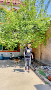 Bộ Dụng Cụ Gậy Sào Kim Loại Siêu Chắc 3-7M Rút Gọn 9 Món CưaCắt CànhMóc Câu CáPhơi ĐồQuét Mạng NhệnHái Trái Cây