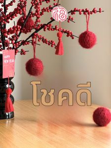 Good Fortune New Year Decor Red