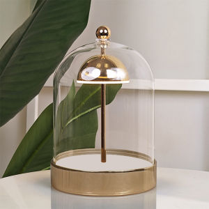 Modern Simplicity Glass Bell DIY Eternal Flower Table Lamp Three-Color Dimming Touch Switch USB Charging Home Decor Accessories