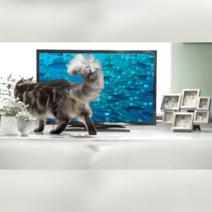 ProDiet Wet Cat Food Bonus Pack - Tuna x 2 (85g x 5+1 Pouches)