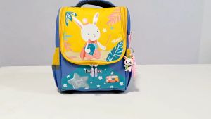 Tas Ransel Sekolah TK PAUD Anak Laki Laki Perempuan Karakter 3D CB038