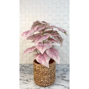 Pohon Imitasi Pohon Artificial Daun Calladium Pink Full X18 Semilatex Cover Eceng Gondok Hiasan Rumah Ruang Tamu