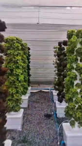 [เฉพาะที่ปลูก+ถังน้ำ ]  8 ชั้น สำหรับปลูก 32 ต้น