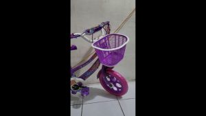 Sepeda Anak Perempuan Unity Victoria Ukuran 12 Inch Ban Eva