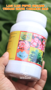 PUPUK ORGANIK GUANO GUANO SPESIAL 500 GRAM KEMASAN PABRIK UNTUK TANAMAN HIAS - GUANO SPECIAL