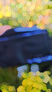 TAS SELEMPANG WATERPROOF POUCH BAG STARLET