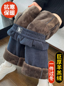 Quần Ống Rộng Lót Lông Cừu Dày Cho Nữ Mùa Thu Đông 2024 Quần Ống Đứng Phong Cách Hàn Quốc Cạp Cao Dài Bằng Polyester