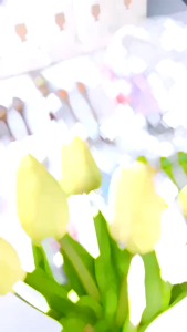 Sét Đũa Thìa Dĩa MISAN Tập Ăn Dặm Cho Bé