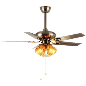 Aiskdan | Modern Simple Elegant New Ceiling Fan Light for Home