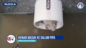 Penutup Pipa Pembuangan Saluran Air Cegah Hewan Masuk Ukuran 3 Inchi