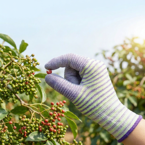 Terrain Kun | Anti-Prick Anti-Cut Breathable Durable Gloves