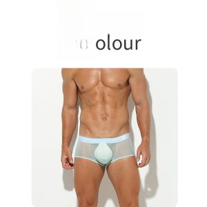 Quần Lót Nam Ice Silk Mesh Mỏng Gợi Cảm Quần Lót Lưới Thoáng Khí Quần Lót Lưng Thấp Màu Trơn Quần Lót Nam Mùa Hè 2024