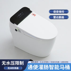 Intelligent Toilet Integrated Automatic Spa Therapy Enema UV Disinfection Luxury Ceramic Seat Circle Warmth Cold Massage