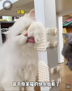 Adjustable Cat Massage Comb for Cat Tree Pole Table Leg Chair Leg Massage Grooming Relax De-Fluffing