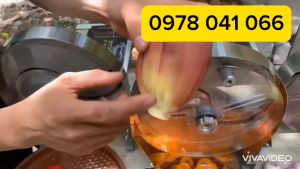 Máy thái lát máy thái hoa chuối thái rau củ quả làm nộm rau quả chạy điện