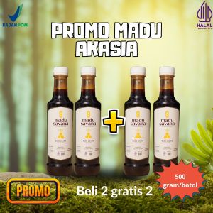 madu akasia paket bundling 4 madu murni 100% pure raw honey