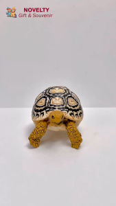 Pajangan kura-kura Pardalis tortoise souvenir Afrika