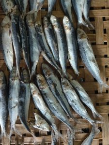 IKAN ASIN SIRO ISI 500GRM