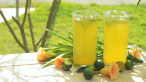 Calamansi Honey Juice Pure Extract Mindoren-C Calamansi Concentrate with Honey Ginger Organic Pure Juice Honey Bee Ginger Essential All Natural Source of Antioxidants Vitamin C Enzymes Multivitamins Anti-inflammatory Immunity Booster Antibacterial