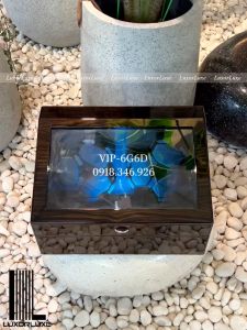 Hộp xoay 6 tĩnh 6 đồng hồ có đèn led có 4 chế độ xoay mở nắp tự dừng SAIKE khung gỗ bọc da có đèn led