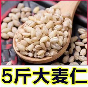 Freshly Harvested Dehulled Barley 5斤