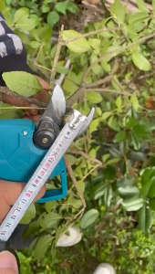 Makita UP100D กรรไกรตัดแต่งกิ่งไร้สาย 399V Brushless สำหรับตัดกิ่งไม้ผล แรงบิดสูง ประหยัดแบตเตอรี่