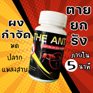 (โปร 1 แถม 2) ได้ 3 กระปุก The Ant ผงกำจัด มด ปลวก แมลงสาบ สูตรตายยกรัง ภายใน 5 นาที สูตรกำจัดปลวก สูตรยาฆ่าปลวก สูตรยาฆ่าแมลง สูตรยาฆ่าปลวก แมลง - Lazada
