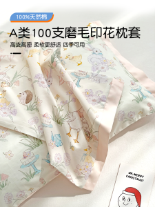 Class a Cartoon Cotton Flannel Pillowcase Childrens Pillowcase Pure Cotton Baby Latex Pillowcase Core Cover Autumn Winter