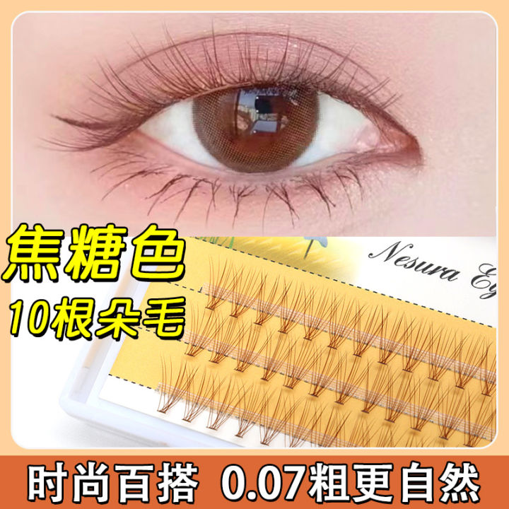 Browneye False Eyelashes Coffee Brown 10 Pieces per Box Natural Looking Doll-like Extensions for Any Skin Type