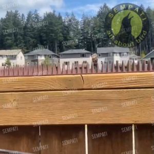 SEMPATI Paku Burung Bird Spikes Paku Duri Plastik Ukuran 445 Pengusir Hewan Liar Anti Burung Merpati Gagak Kucing Anjing Musang Ular