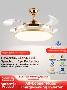 Smile | Ceiling Fan Light with Inverter for Home
