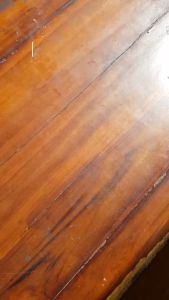 GMB Buku Anak Ensiklopedia Si Kecil Seri Alam Semesta Ranah Buku