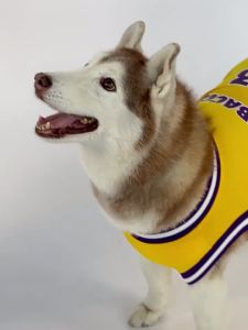 REBACCO | Large Dogs UV Protection Cooling Pet Clothing