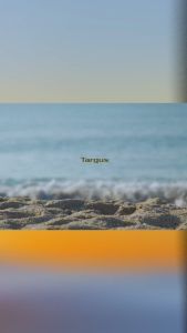 Targus 15.6" Sagano EcoSmart Campus Backpack - Blue / Grey