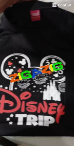 Disney Trip  Famly Shirt (SOLD PER PIECE)