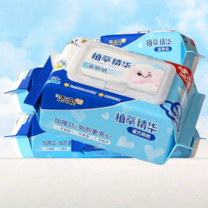 C&S | Toilet Flushing Wet Wipes 80 Sheets Per Pack