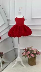 Girls Luxury Ball Gown Dress Elegant Long Sleeve Lace Princess Dress Kids Birthday Party Wedding Bridesmaid Dress Ballet Girl Co