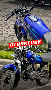 Stang Stir RLV model MJB Laser Stang Rx king Rx s Premium