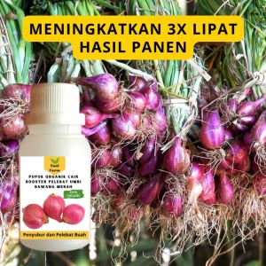 Pupuk Bawang Merah Cepat Berbuah / Pupuk Pelebat Bawang Merah / Pupuk Booster Bawang Merah Cair