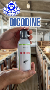 GUSANEX KECIL - DICODINE 50 ml obat luka hewan bebas lalat - gusanex spray - gusanex Semprot sapi