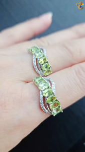 Collection Grade Peridot Titanium Adjustable Ring
