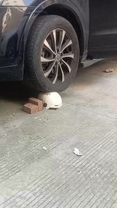 Penghantaran dari China [2025] Topi Keledar Kanak-kanak Four Seasons Standard Kebangsaan Baharu 3C Diperakui Tidak Boleh Dipecahkan 1-5 Topi keledar Keselamatan Boleh Laras untuk Kereta Elektrik Kanak-kanak Kecil 3.8