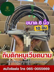 ( ร้านส่งเร็ว )กับดักหนูขนาด 6 นิ้ว 10 ชิ้น