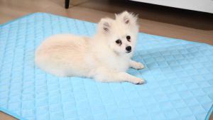 Dog Cooling Bed Mat Summer Pet Pad Mats For Dogs Cat Blanket Sofa Breathable Washable 8 Size for Small Medium Large Dogs Puppy