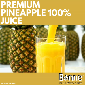 Bonne Finland Pineapple (Egypt/Spain) Juice 1L | No Added Sugar/Water 100% Pure | No Preservatives No Artificial Additives Halal
