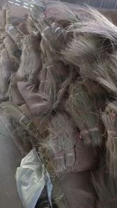 ดอกไม้กวาด ดอกหญ้า ดอกแขม ดอกกง เกรดเอ คุณภาพดี สีสวย ก้านยาว สำหรับทำไม้กวาด สินค้าพร้อมส่งทุกวัน กลิ่นไม่ปลอดภัย