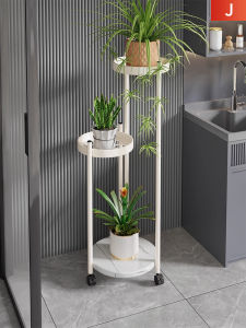 Indoor Outdoor Plant Stand
