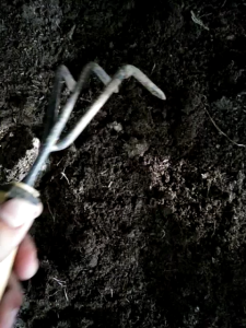 VERMICAST WORM CASTING FOR PLANTS /ORGANIC/ ECO-FRIENDLY