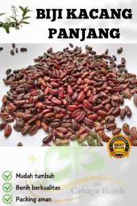Benih kacang panjang isi (80 butir) Bibit kacang panjang
